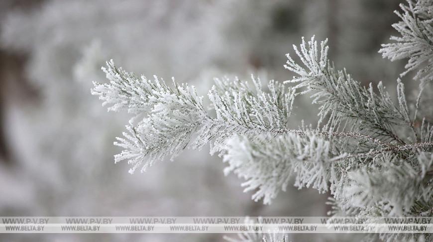 До -17°С ожидается в Беларуси 29 декабря