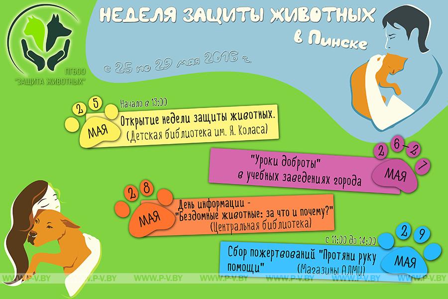 В Пинске стартует «Неделя защиты животных» В Пинске стартует «Неделя защиты животных»