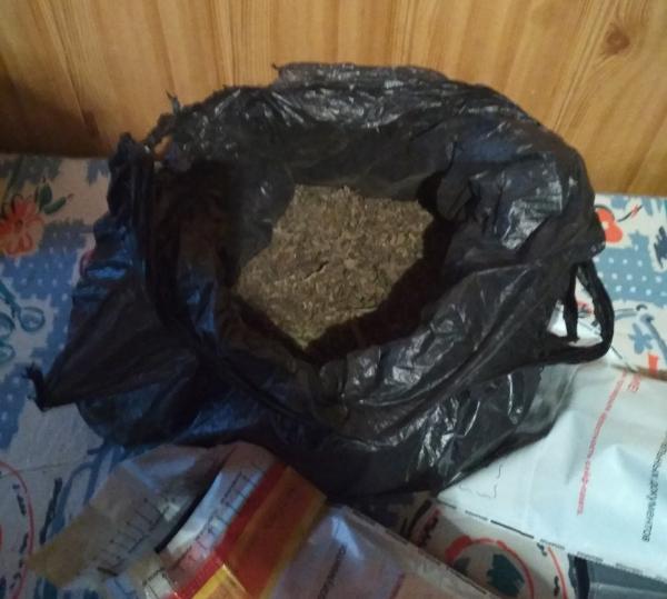 У жителя Пинска изъяли около 1 кг марихуаны