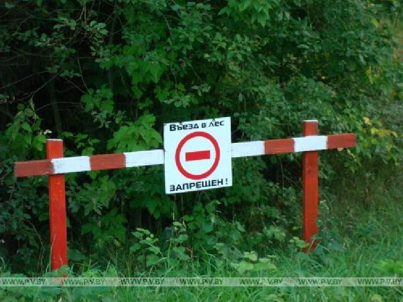 Вышел запрет на посещение лесов