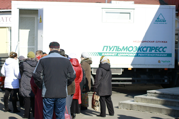 24 марта — День белой ромашки