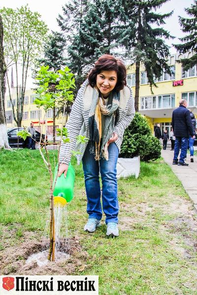 Город украсили новые аллеи