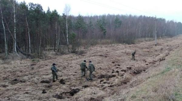 Более 260 боеприпасов нашли рядом с железной дорогой в Пинском районе Более 260 боеприпасов нашли рядом с железной дорогой в Пинском районе