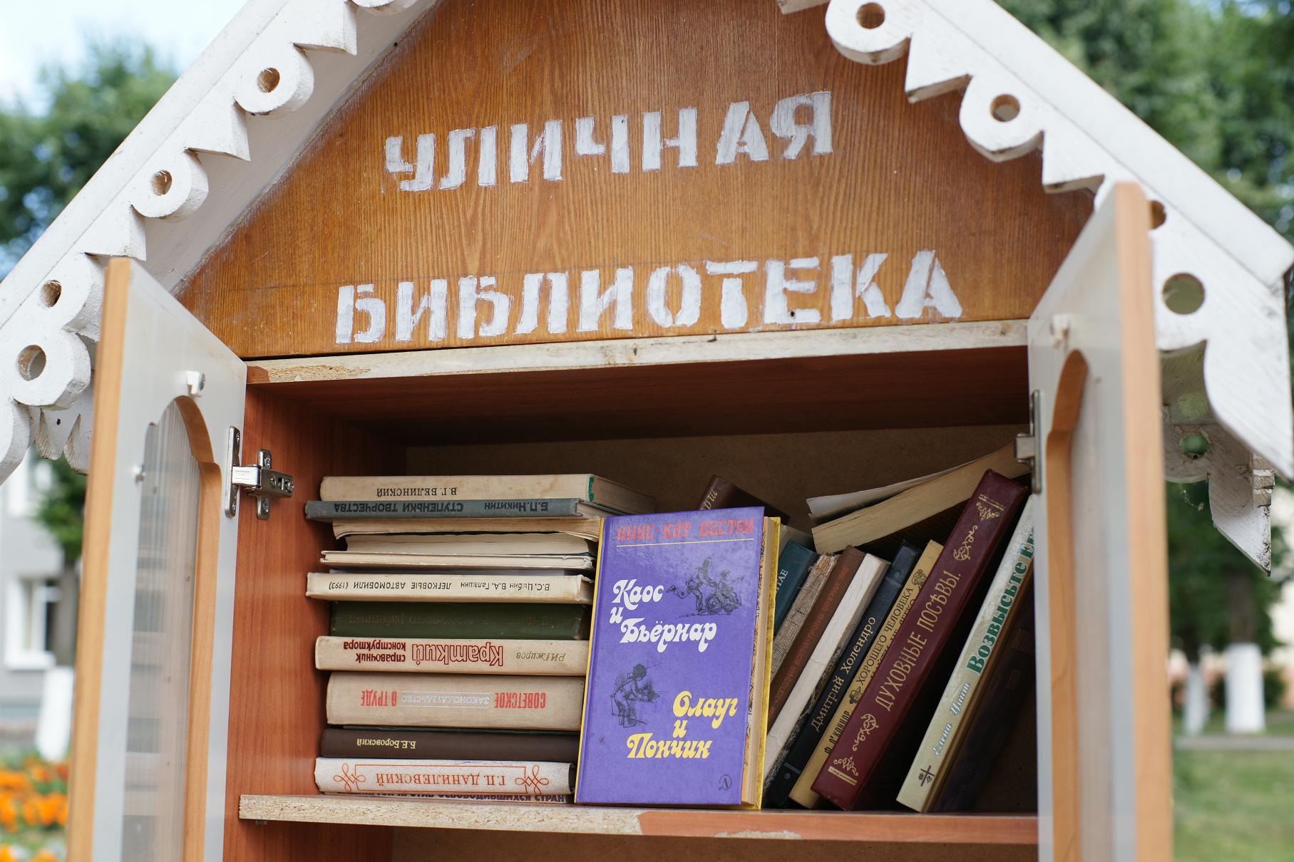 Библиотека на открытом воздухе будет работать в Пинске