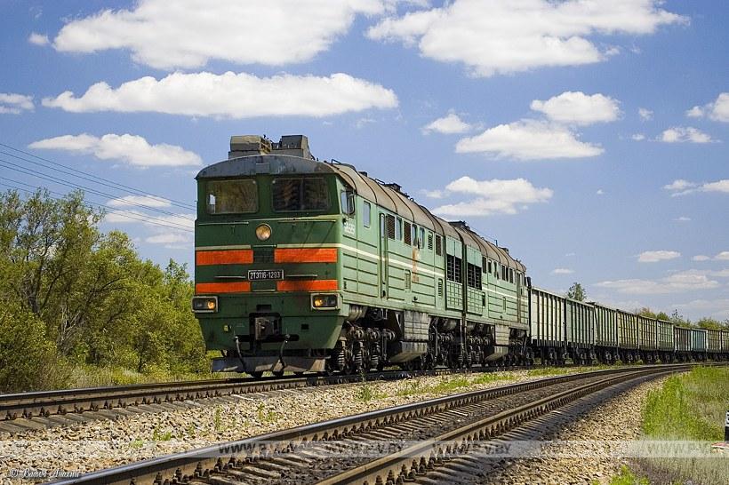 В Пинском районе мужчина бросился под поезд. Суицид? В Пинском районе мужчина бросился под поезд. Суицид?
