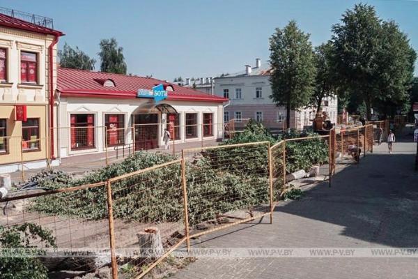 Вопрос-ответ: Кому помешали деревья на улице Ленина?