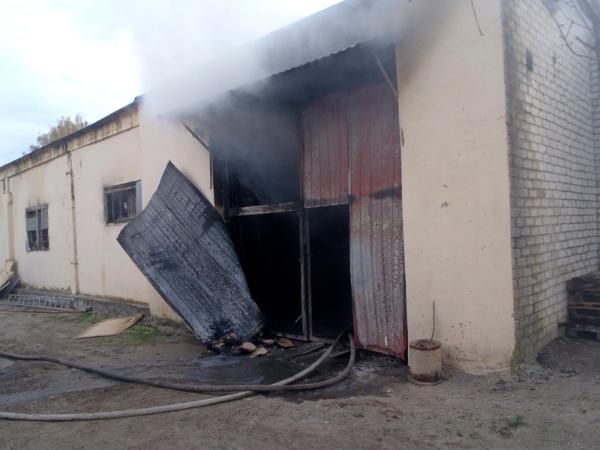При пожаре в консервном цехе Пинского РАЙПО на улице Козубовского погиб человек