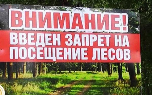 Посещение лесов запрещено