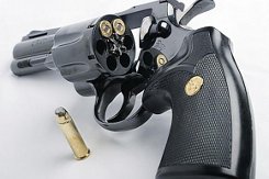 С понедельника пинчане могут сдать незаконно хранящиеся оружие