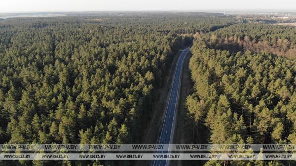 Запреты и ограничения на посещение лесов действуют в 37 районах Беларуси Запреты и ограничения на посещение лесов действуют в 37 районах Беларуси