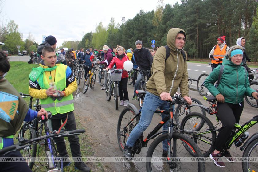 ФОТОФАКТ: Патриотический велопробег собрал в Пинске более 200 поклонников велосипедного спорта