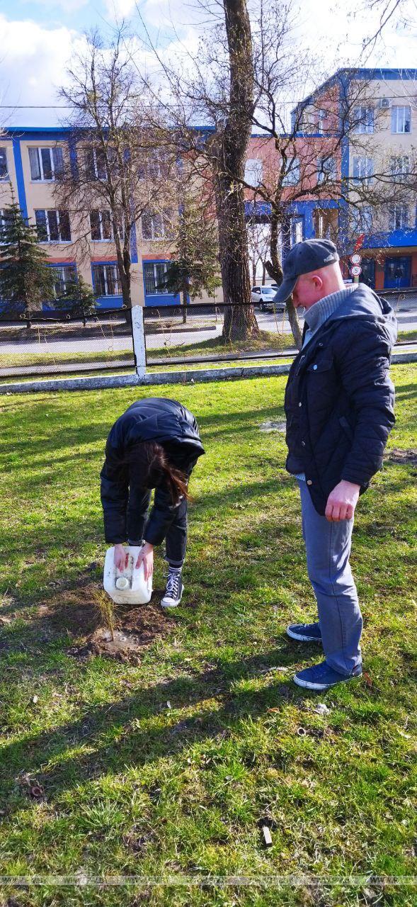 Экологическое мероприятие «Посади дерево – спаси планету!» состоялось в ГУО «Социально-педагогический центр г. Пинска»