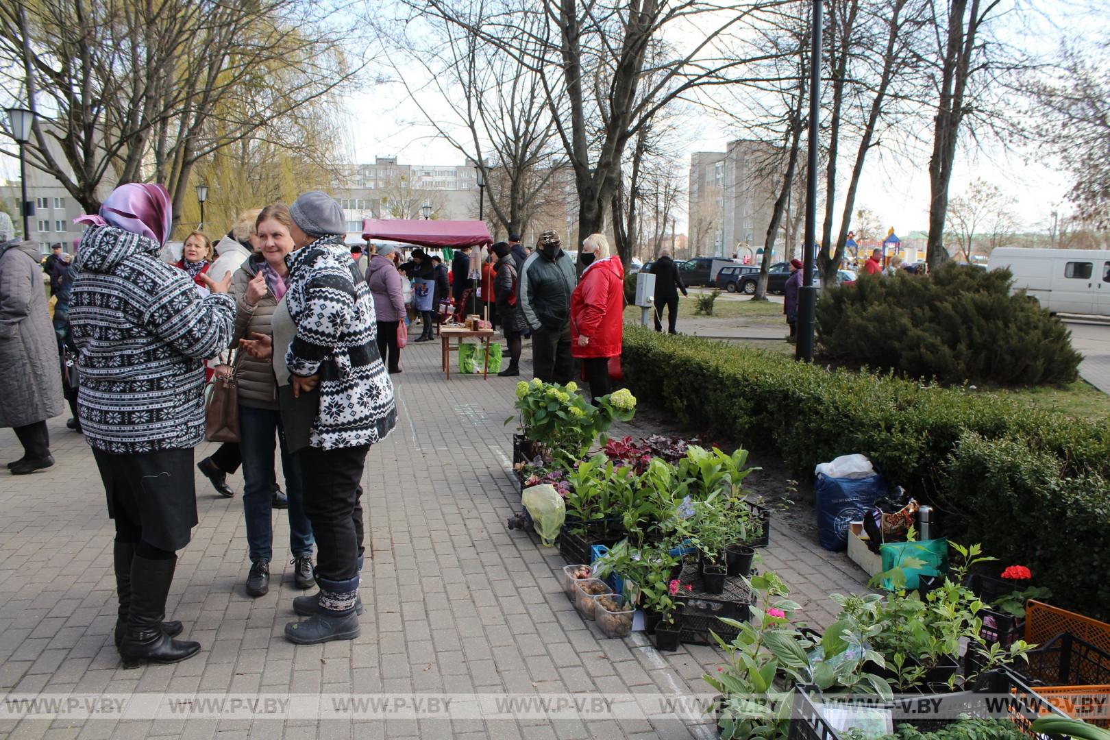Вчера в Пинске прошла ярмарка «Яркий мир земледельцев Пинщины-2022»