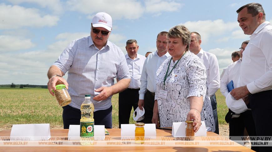 "Сегодня исторический момент". Лукашенко рассказал о грядущей революции в сельском хозяйстве