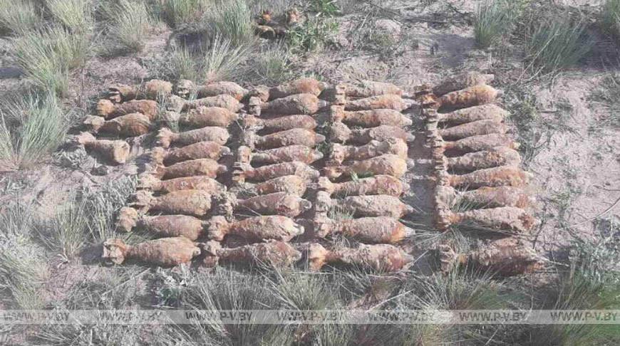В лесу в Пинском районе нашли 44 минометные мины В лесу в Пинском районе нашли 44 минометные мины