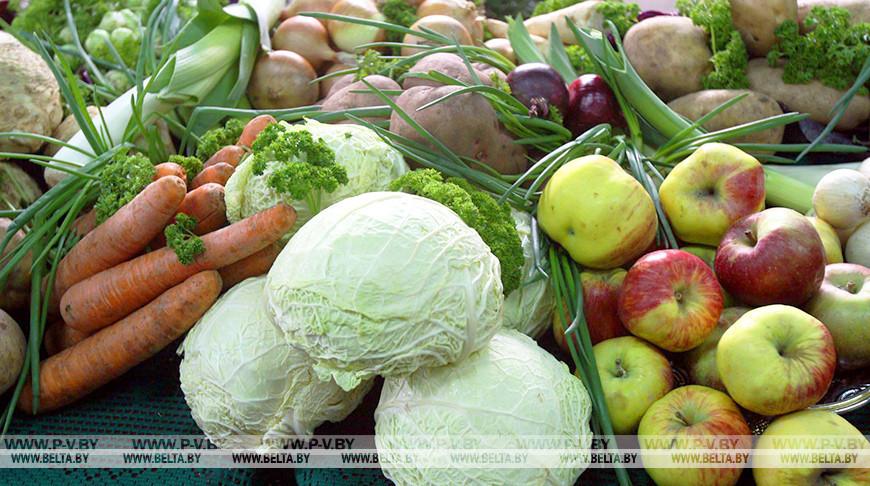 Лукашенко потребовал полной обеспеченности внутреннего рынка продуктами питания Лукашенко потребовал полной обеспеченности внутреннего рынка продуктами питания
