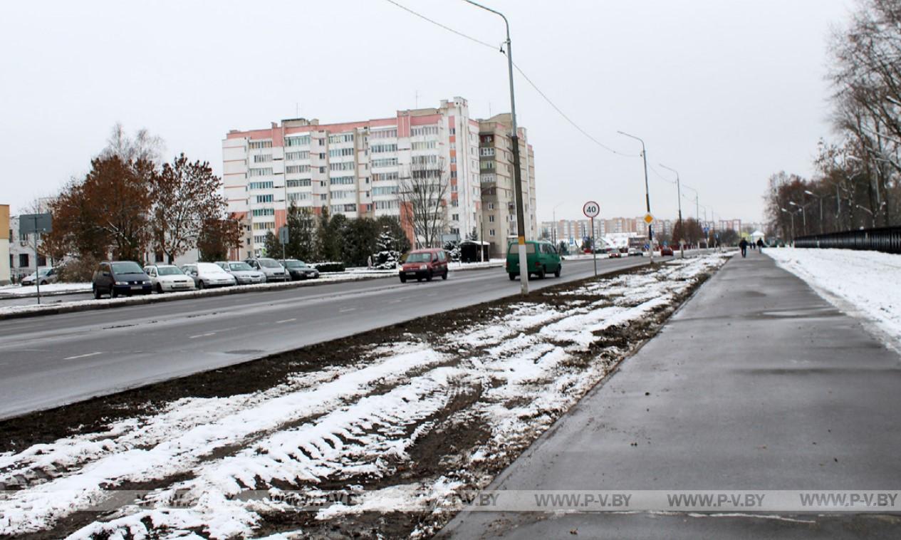 В Пинске появится буковая аллея на месте спиленных тополей В Пинске появится буковая аллея на месте спиленных тополей