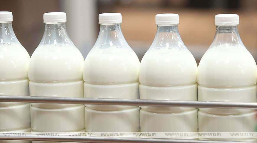 Производство сельхозпродукции в Беларуси в январе-ноябре выросло на 3,5%