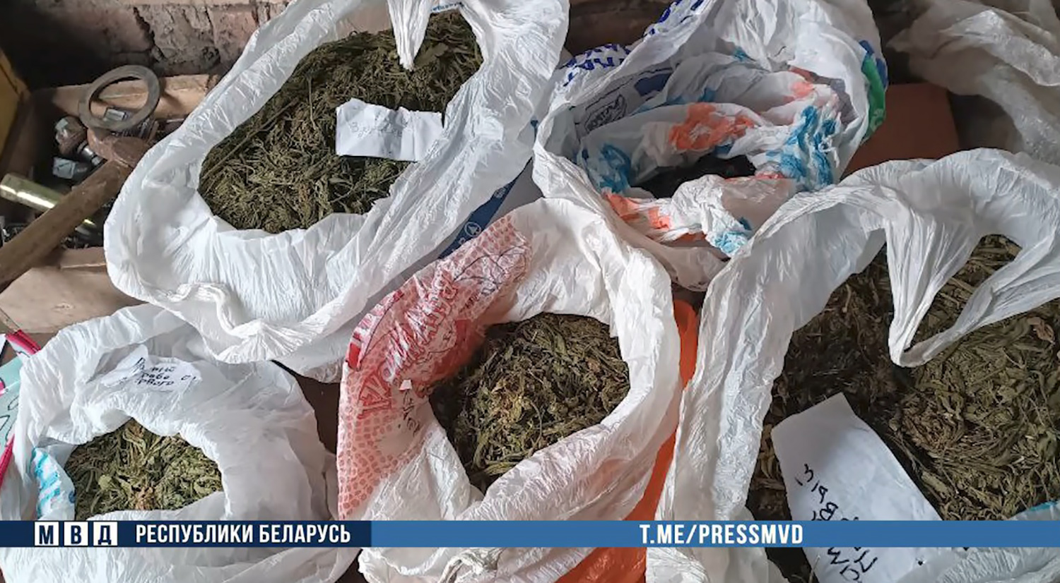 В Пинском районе сбытчика марихуаны задержали с поличным