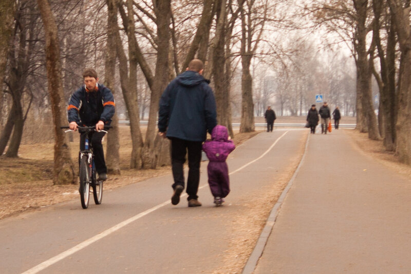 Госавтоинспекция уделит повышенное внимание безопасности пешеходов и велосипедистов