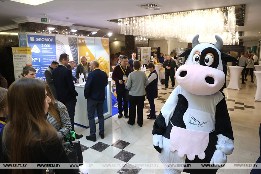 Минсельхозпрод: Беларусь нарастила экспорт молочной продукции в Европу