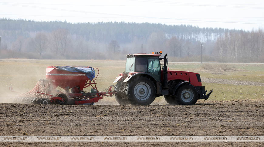 Агрометеоролог рассказал, когда в Беларуси начнется массовый сев ранних яровых