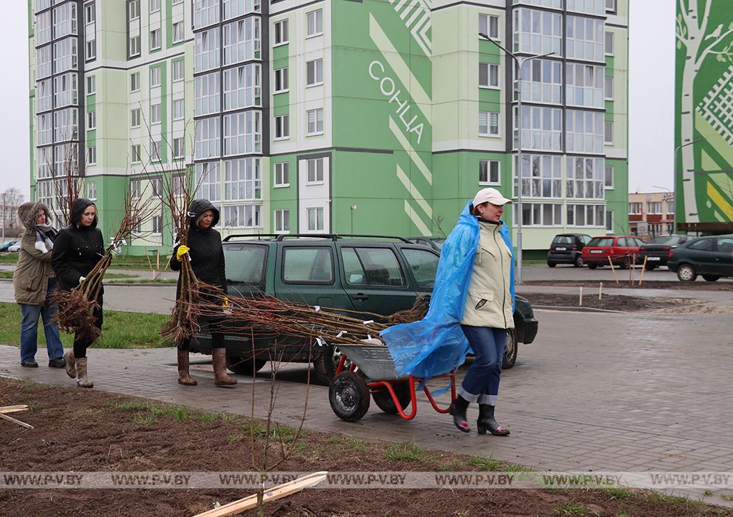 На Пинщине провели районный субботник