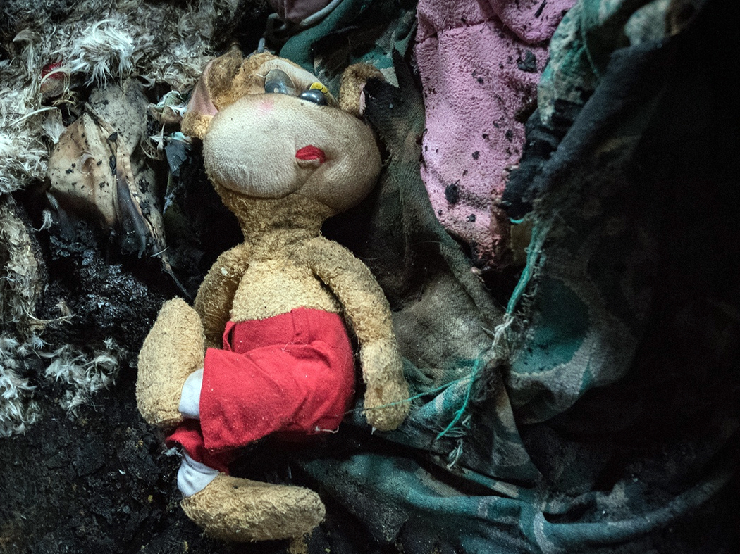 В Пинском районе на пожаре погибли мать и ее двое малолетних детей