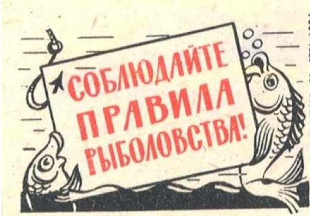 Какие орудия любительского рыболовства можно использовать? Ответили в Пинской межрайонной инспекции охраны животного и растительного мира