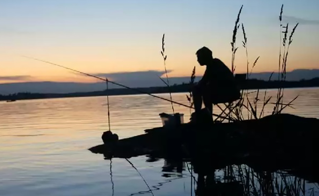 Охота и рыбалка: что разрешено в июне?