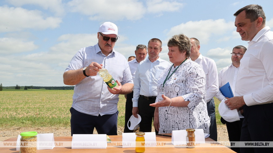 "Это революция будет на селе". На какую сельхозкультуру Лукашенко сделал верную ставку?