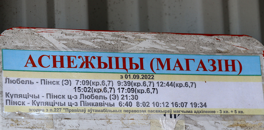 Оснежицы – Пинск – Оснежицы, или Автобусных рейсов много не бывает