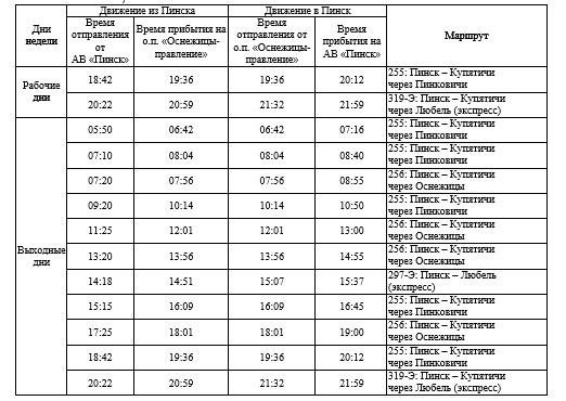 Оснежицы – Пинск – Оснежицы, или Автобусных рейсов много не бывает