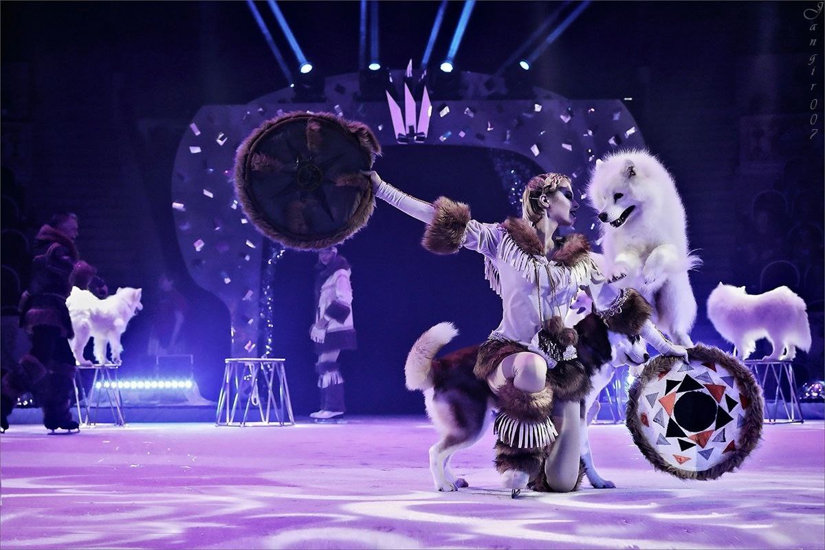 Цирк Russoli приедет в Пинск с новой международной программой