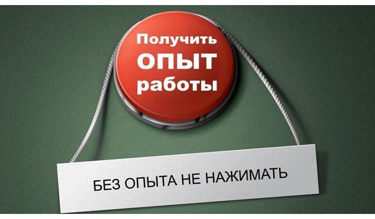 Без опыта работы, но с дипломом: на каких условиях служба занятости поможет трудоустроиться