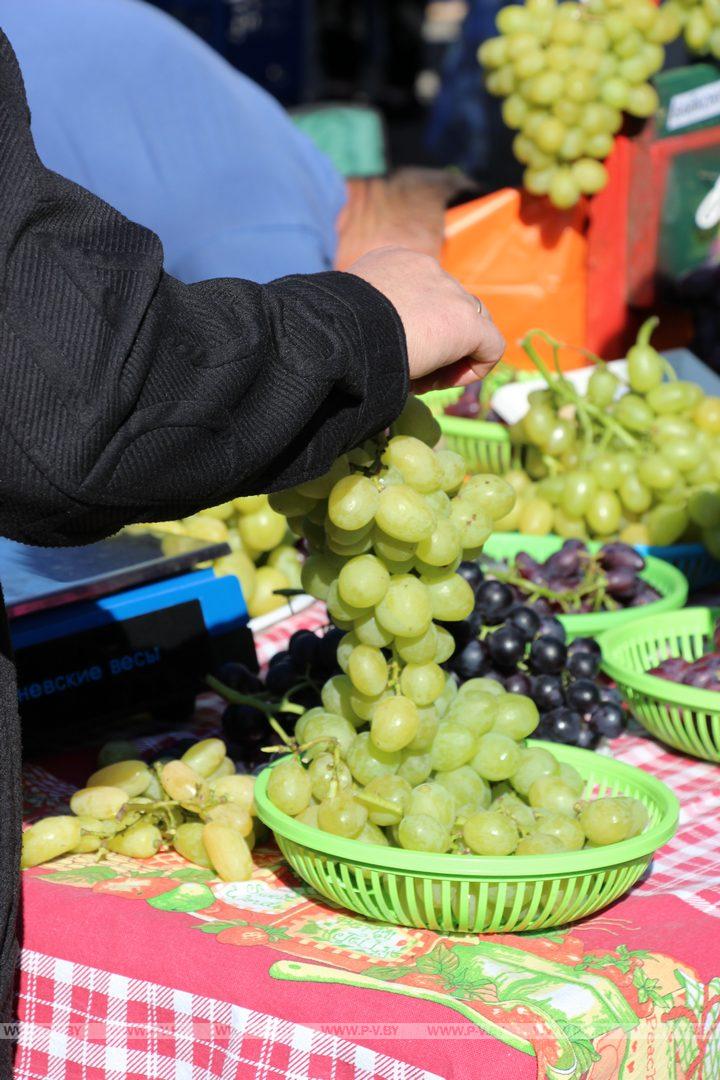 В Пинске собрались умелые любители-земледельцы и виноградари