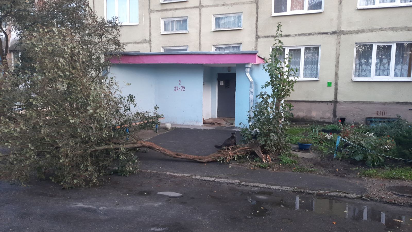 ЖРЭУ: «Последствия шквалистого ветра устраняют до сих пор»