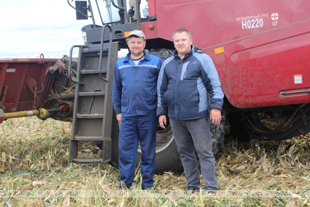На Пинщине убирают кукурузу на зерно