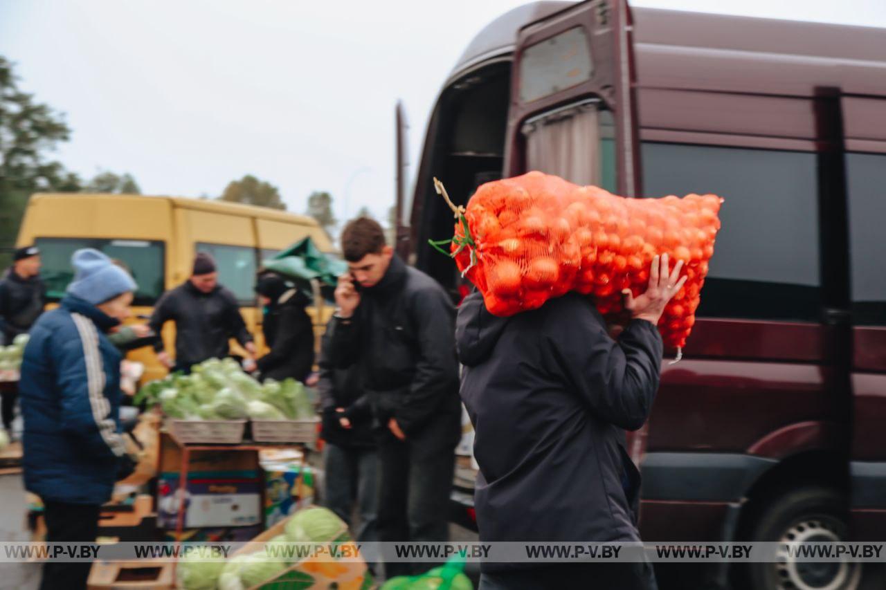 Заглянули на сельскохозяйственную ярмарку в Пинске