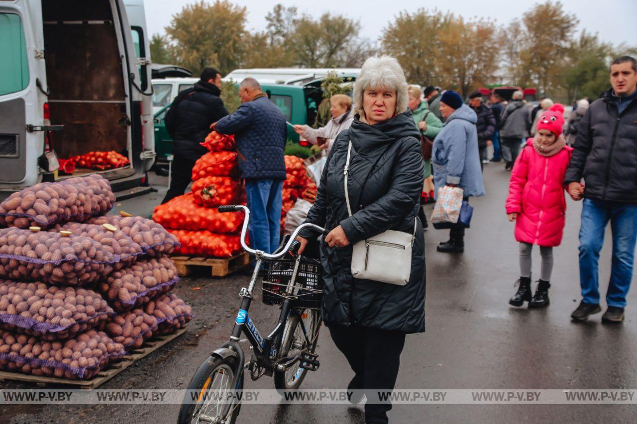 Заглянули на сельскохозяйственную ярмарку в Пинске