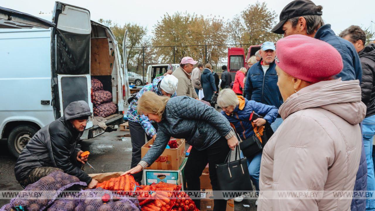 Заглянули на сельскохозяйственную ярмарку в Пинске Заглянули на сельскохозяйственную ярмарку в Пинске