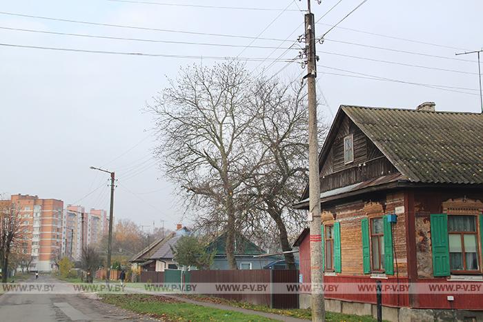 Что не так с орехом на улице Немытова?