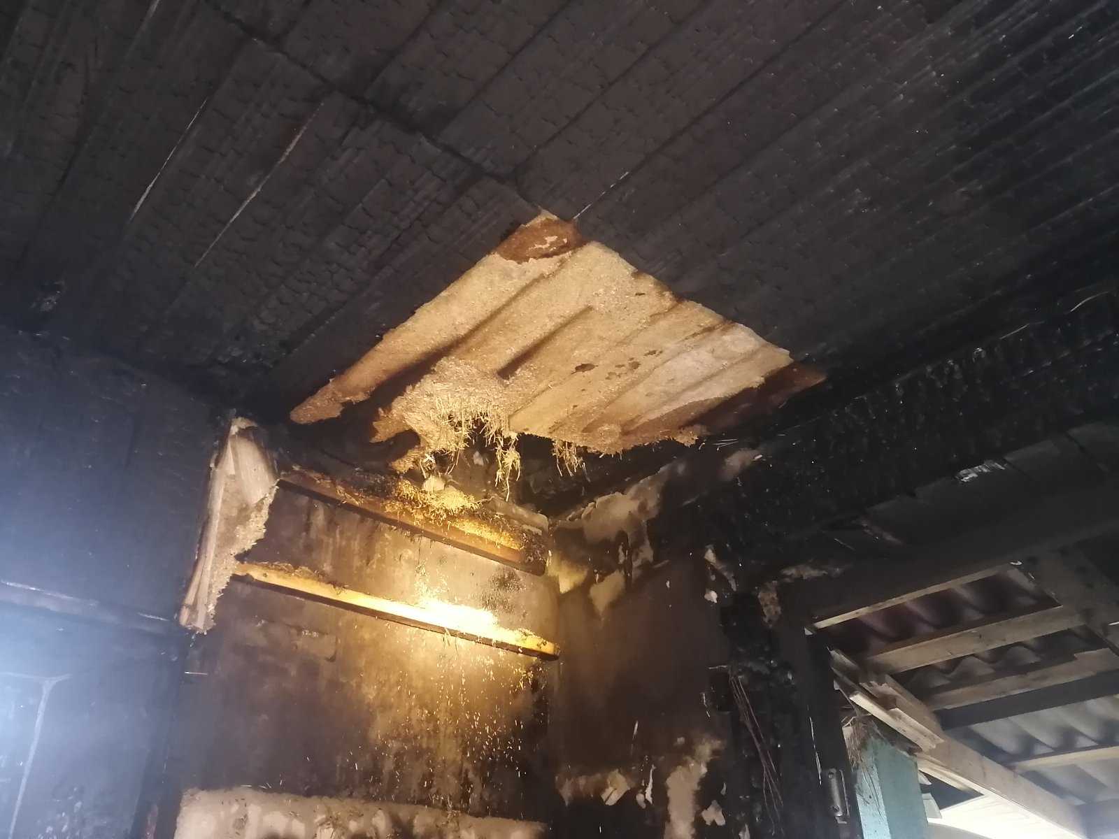 В Пинске горел строительный вагончик, в районе – жилой и дачный дома