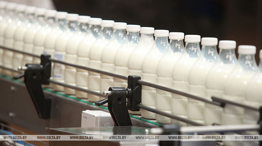 Экспорт белорусских молока и молокопродуктов за январь-ноябрь увеличился на 6,7%