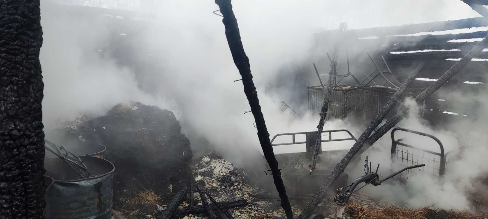 В Пинском районе случился пожар в хозяйственном строении, в Пинске – в квартире