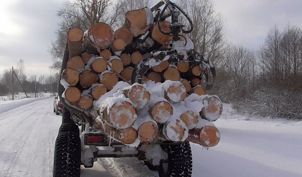 Информация грузоперевозчикам по вопросам безопасности при перевозке лесоматериалов (бревен)