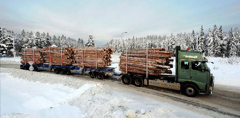 Информация грузоперевозчикам по вопросам безопасности при перевозке лесоматериалов (бревен)