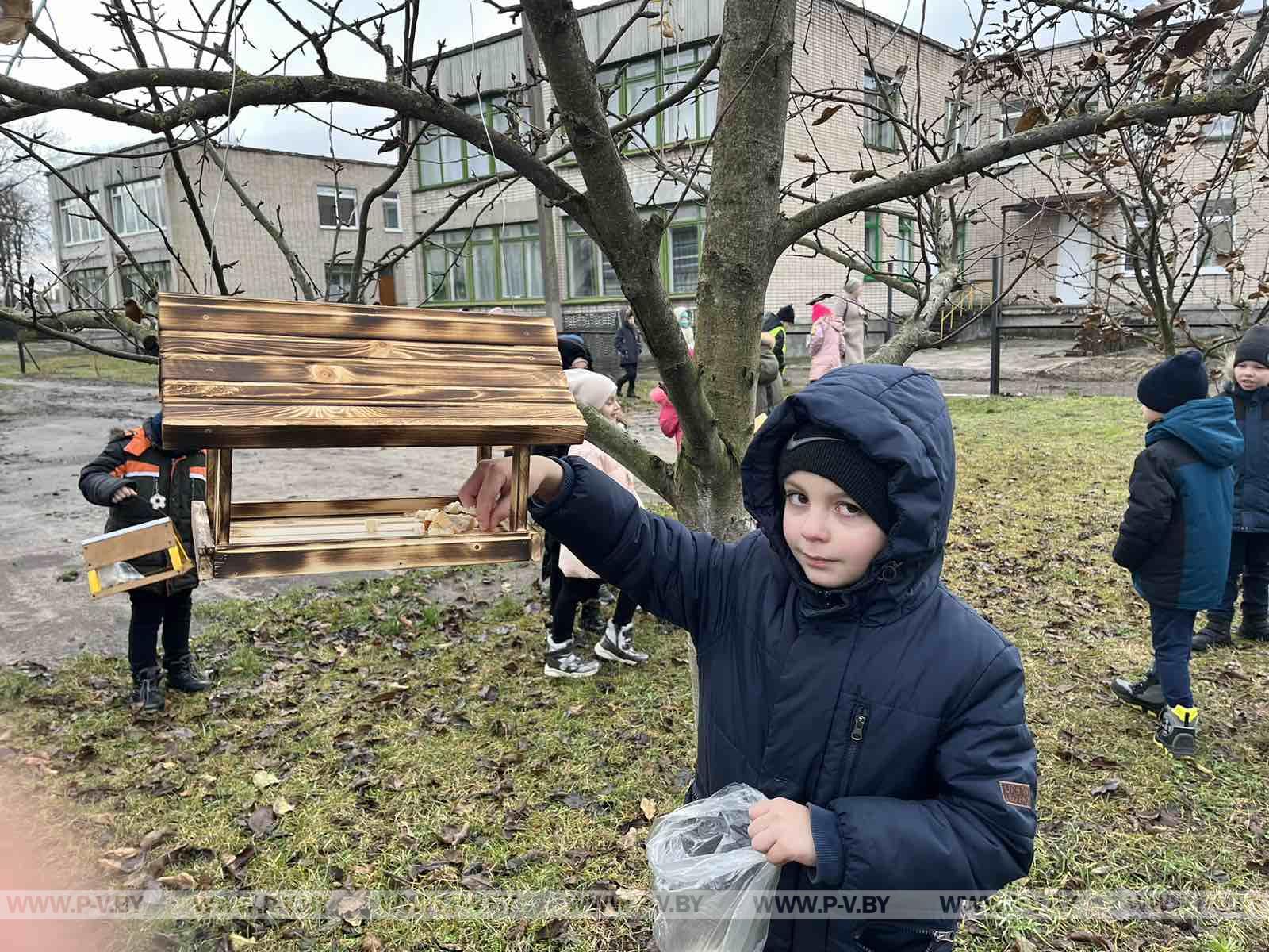 Поддержим птиц