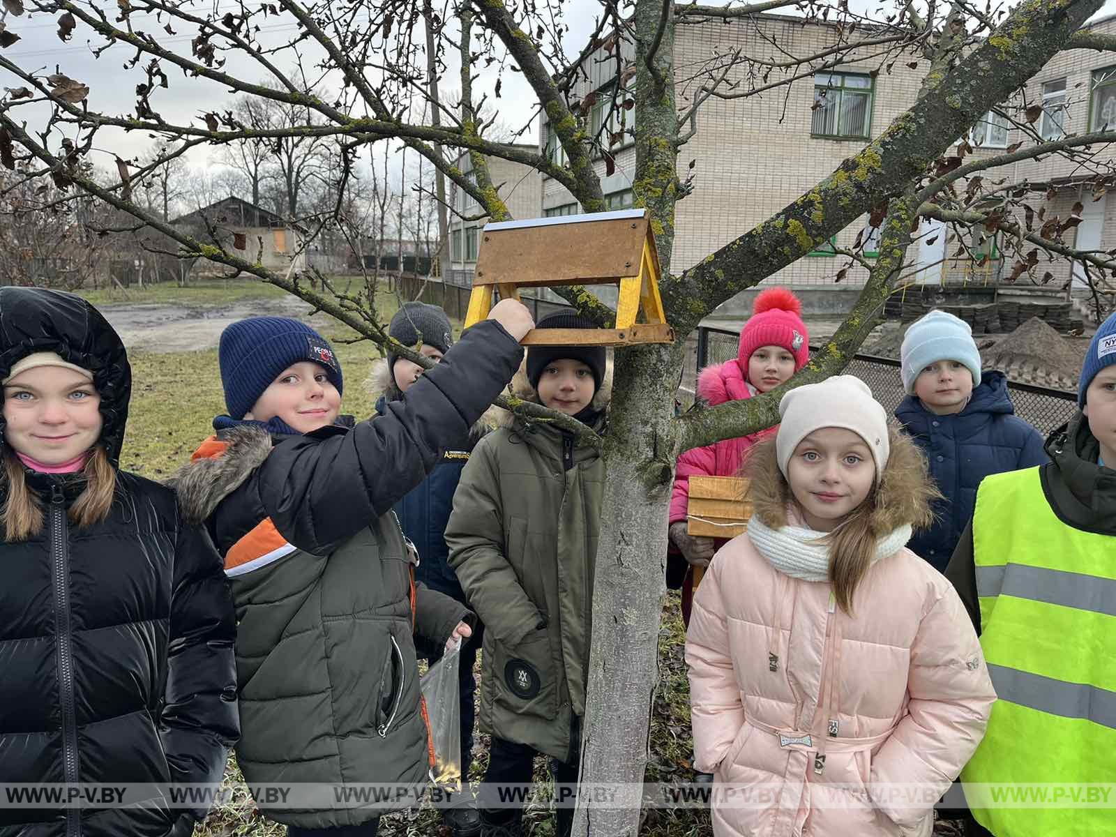 Поддержим птиц Поддержим птиц