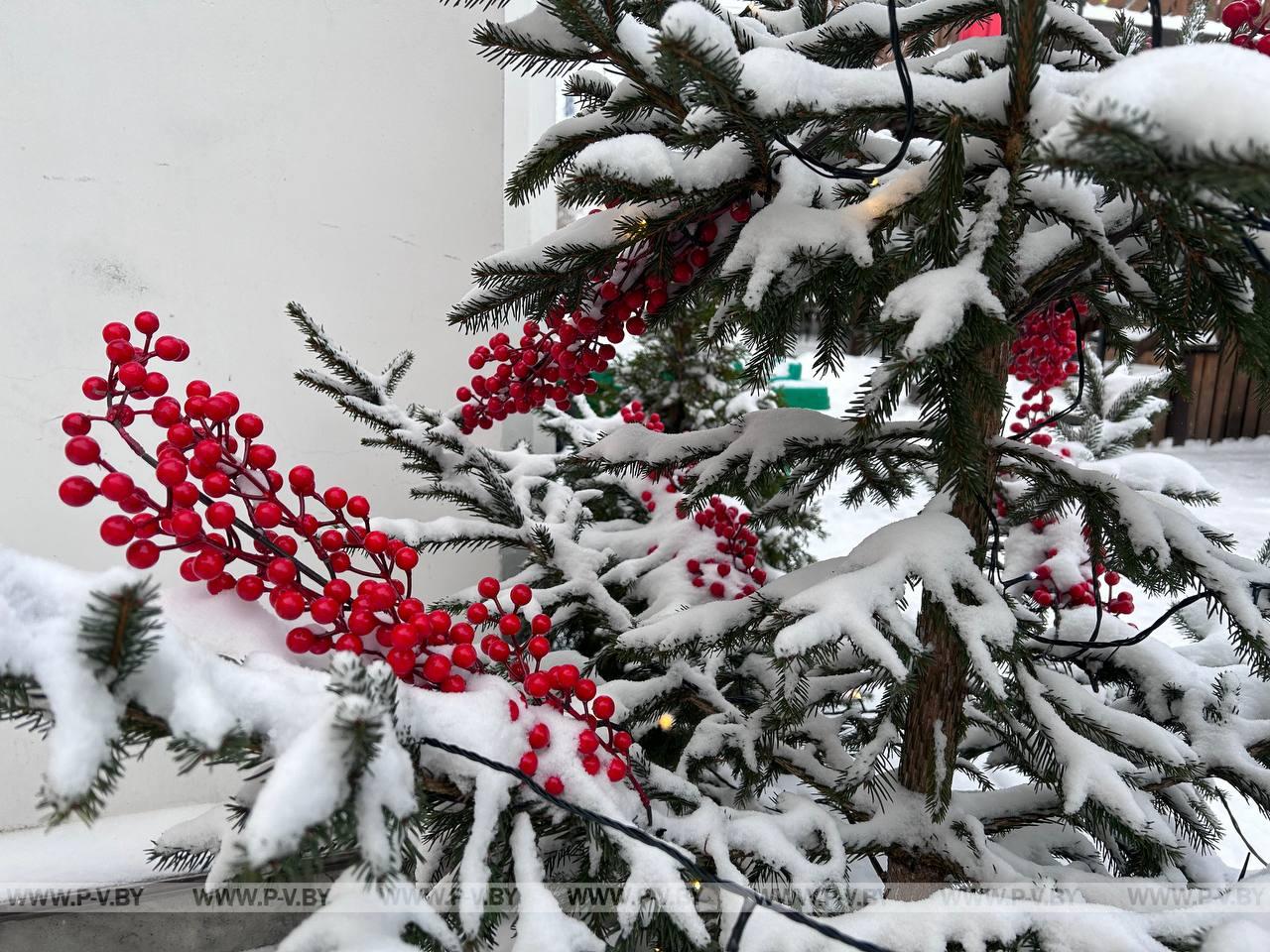 Метель, гололедица и до -24 °С градусов мороза. Синоптики о погоде в Беларуси на этой неделе
